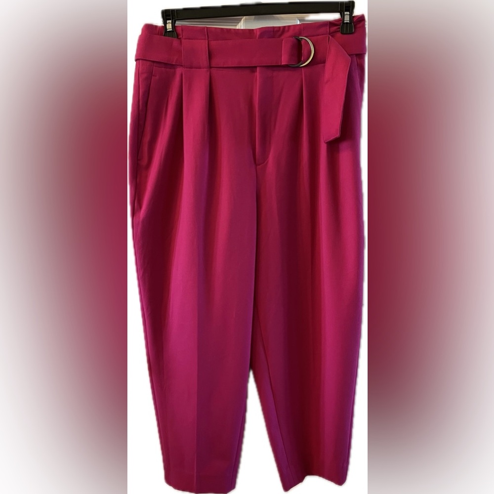 Banana Republic Women's Fuchsia Wide Leg Pants Size 12/31